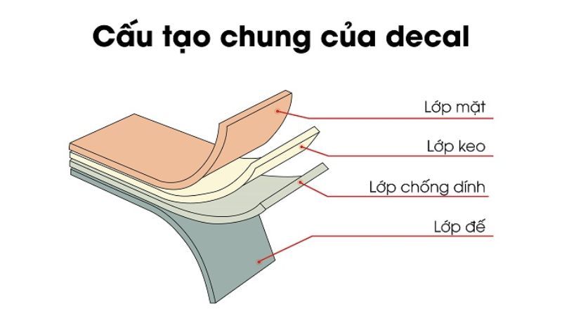 decal có mấy loại